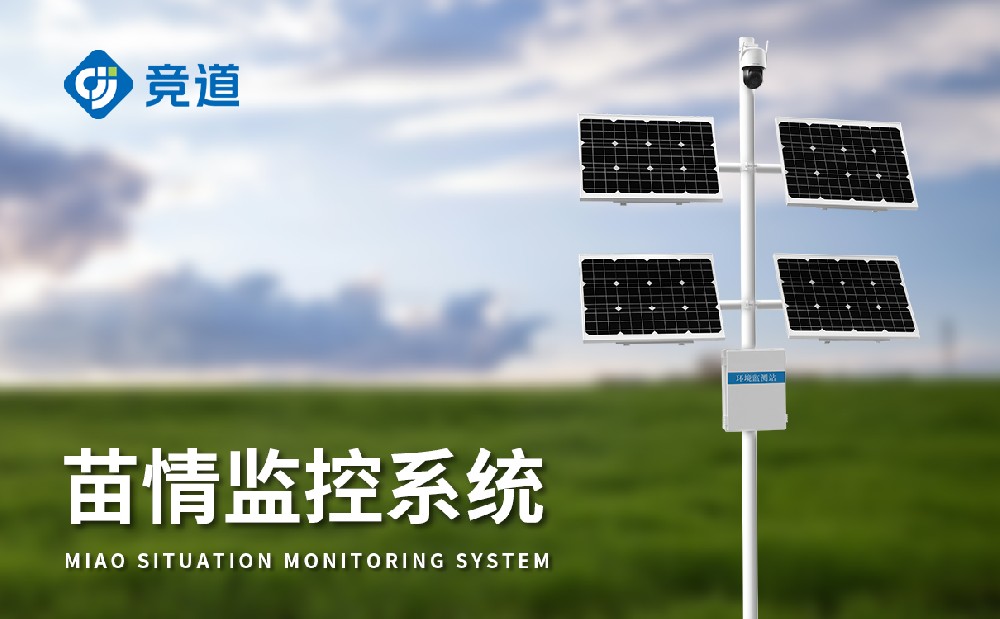 ������վ