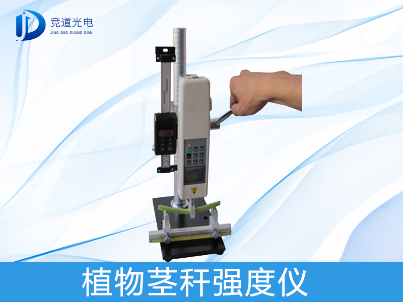 Ϊʲôоֲﾥǿ